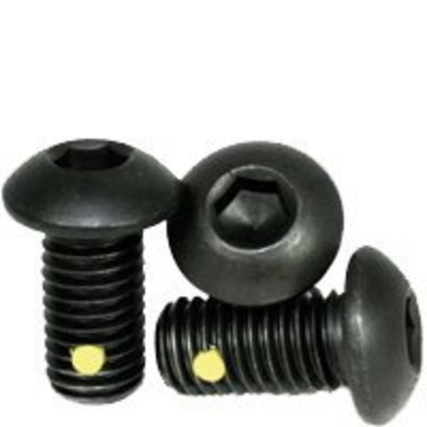 Newport Fasteners 1/2"-13 Socket Head Cap Screw, Black Oxide Alloy Steel, 1 in Length, 100 PK 425006-100